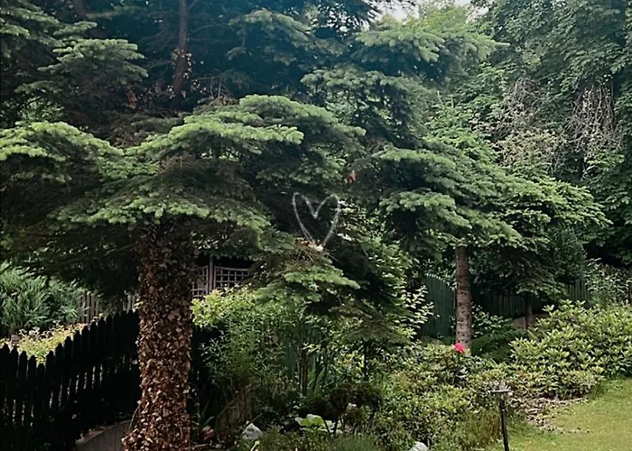 Jasminowy Dwor Homestay szállás