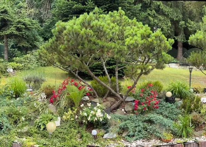 Homestay szállás Jasminowy Dwor Polanica-Zdrój